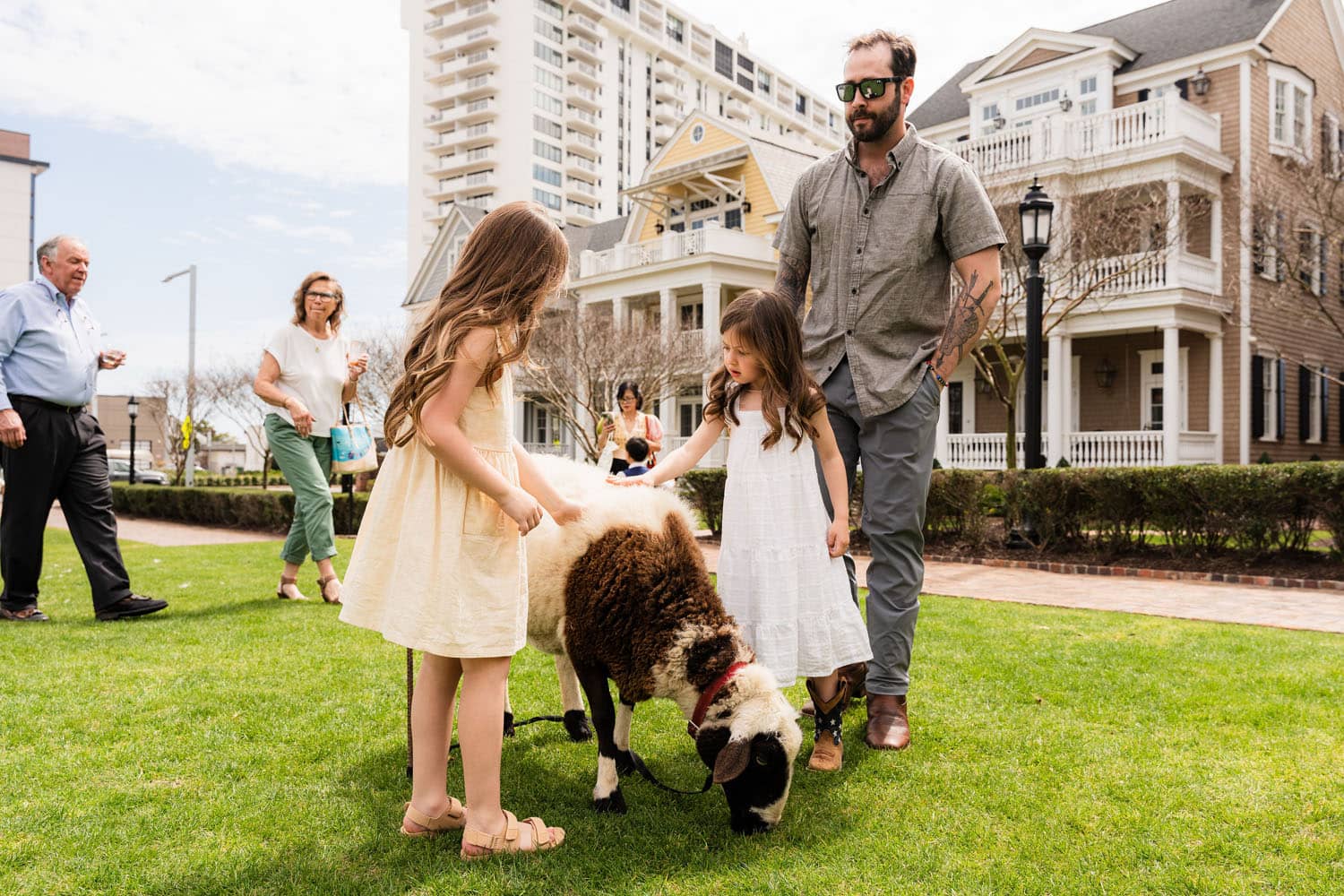 A petting zoo on The Historic Cavalier Hotel Great Lawn