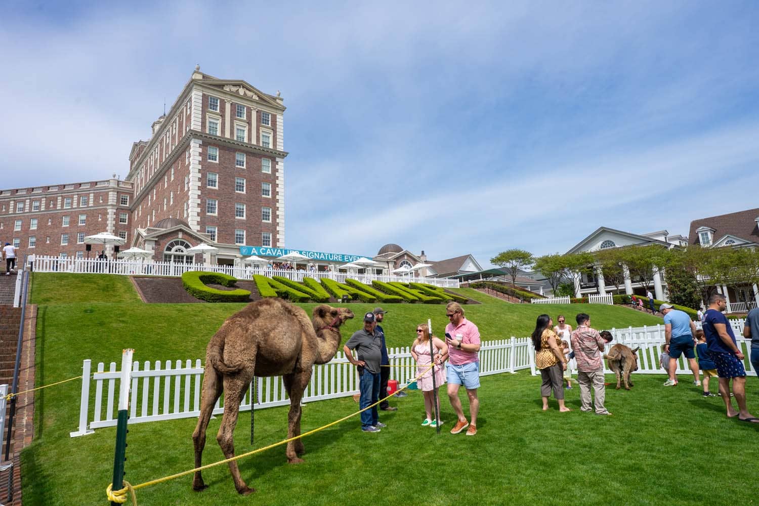 An Easter Egg hunt on The Historic Cavalier Hotel Great Lawn