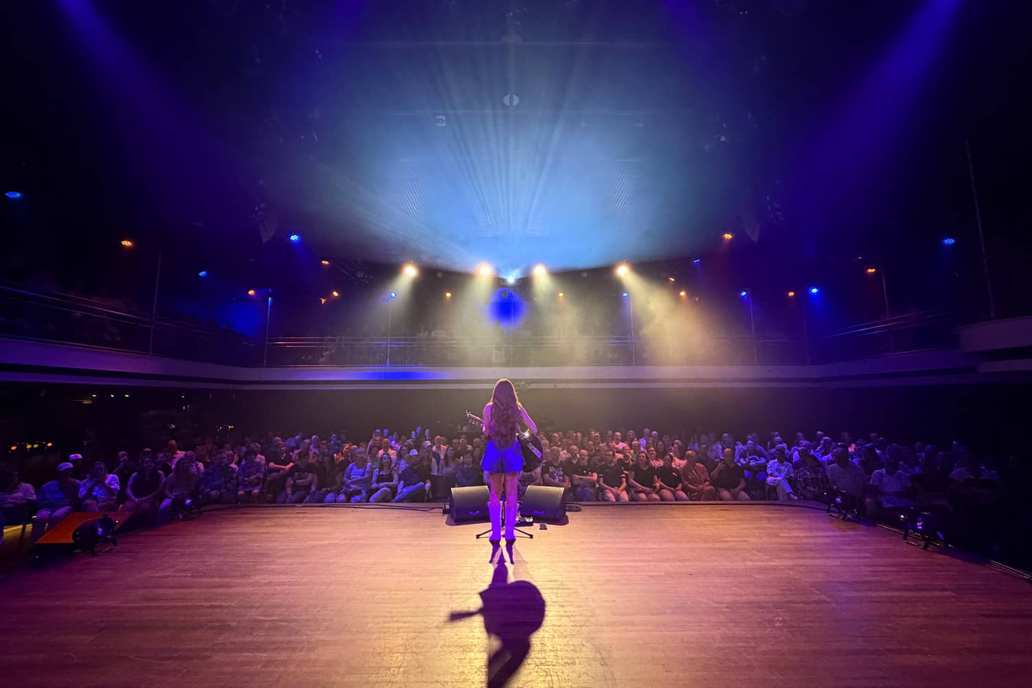 An artist on stage performing live music at a concert